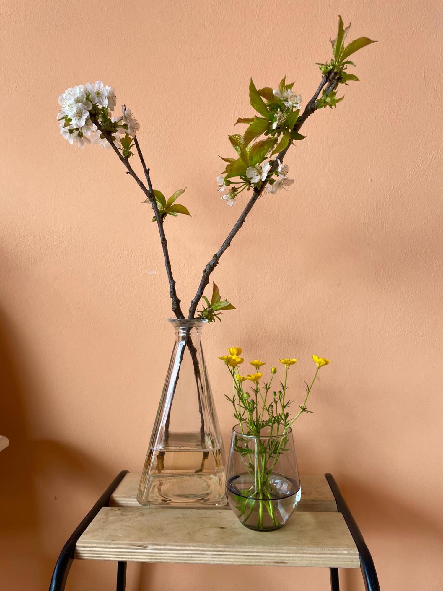 Studio Rosa Miagliano Luaran gambar